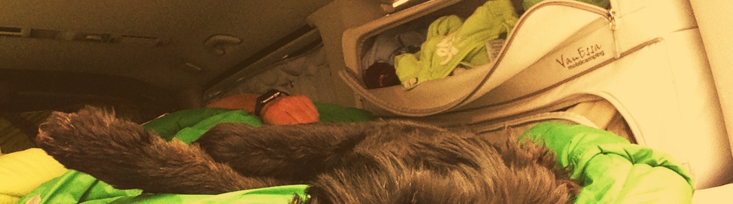 Check – unsere Fenster-Packtaschen von VanEssa